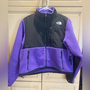 The North Face Retro Denali Fleece Jacket